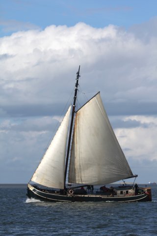 laborsanitas